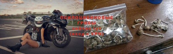 амф Володарск