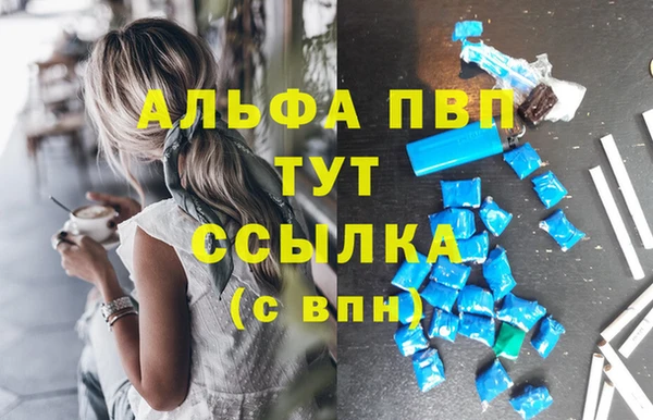 амф Володарск
