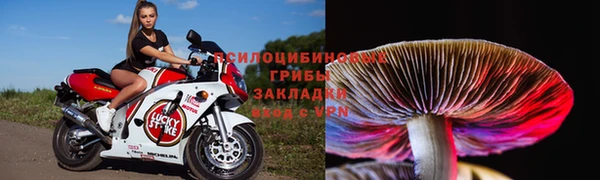mdpv Волоколамск