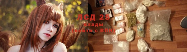 PSILOCYBIN Волосово