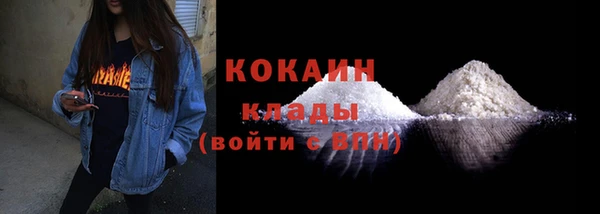 PSILOCYBIN Волосово