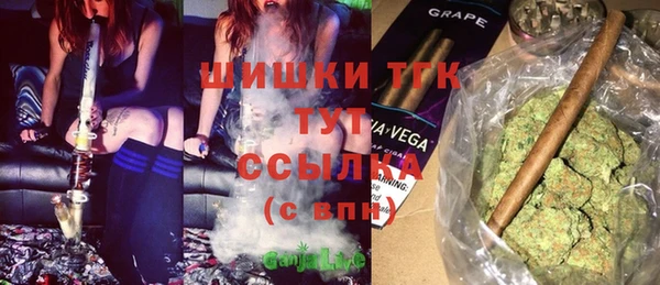 PSILOCYBIN Волосово