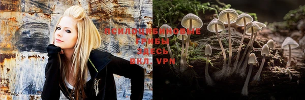 mdpv Волоколамск