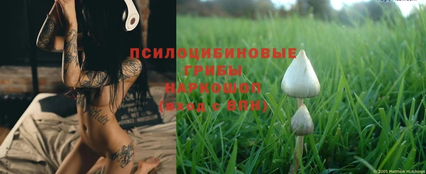 PSILOCYBIN Волосово