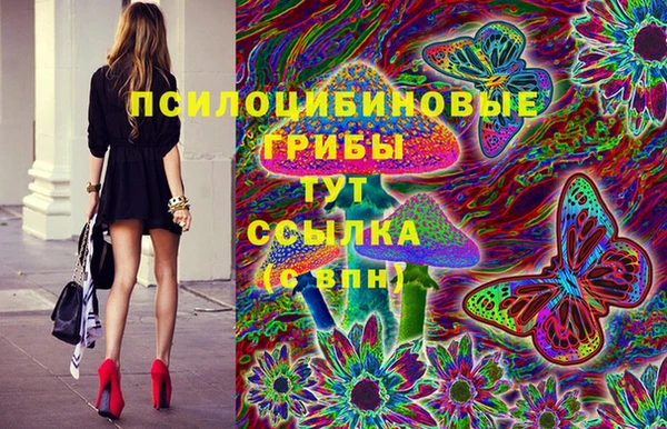 mdpv Волоколамск